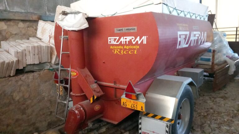 WhatsApp Image 2025-09-19 at 12.38