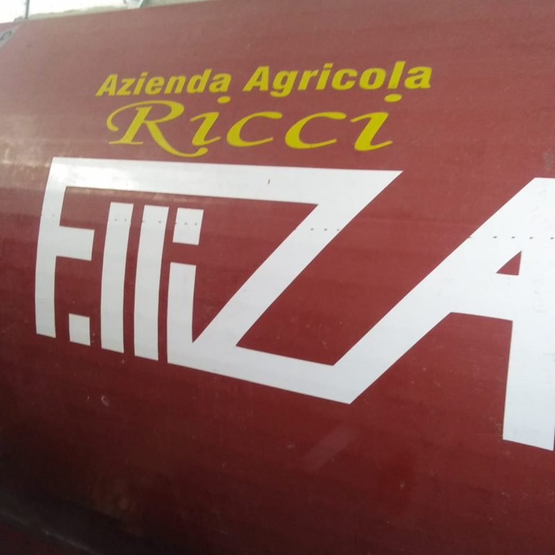 WhatsApp Image 2025-09-19 at 12.38.06